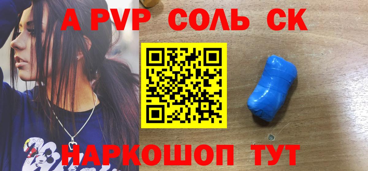 Альфа ПВП СК Новодвинск
