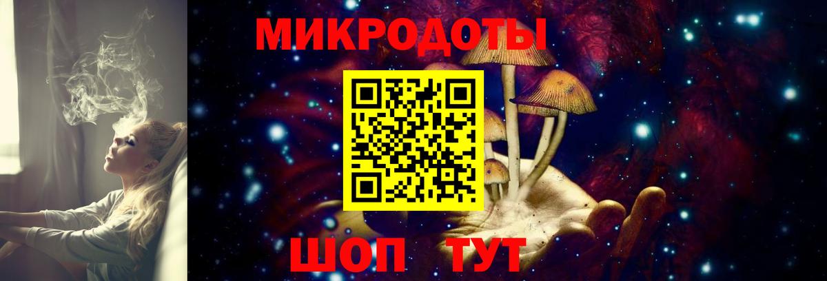 Псилоцибиновые грибы мицелий Новодвинск